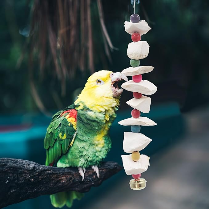 2 Pack Bird Toys with Cuttlebone, Parakeet Toys, Bird Beak Grinding Stone - Image 6