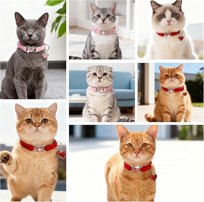 EXPAWLORER Soft Velvet Safe Cat Collars - Image 7
