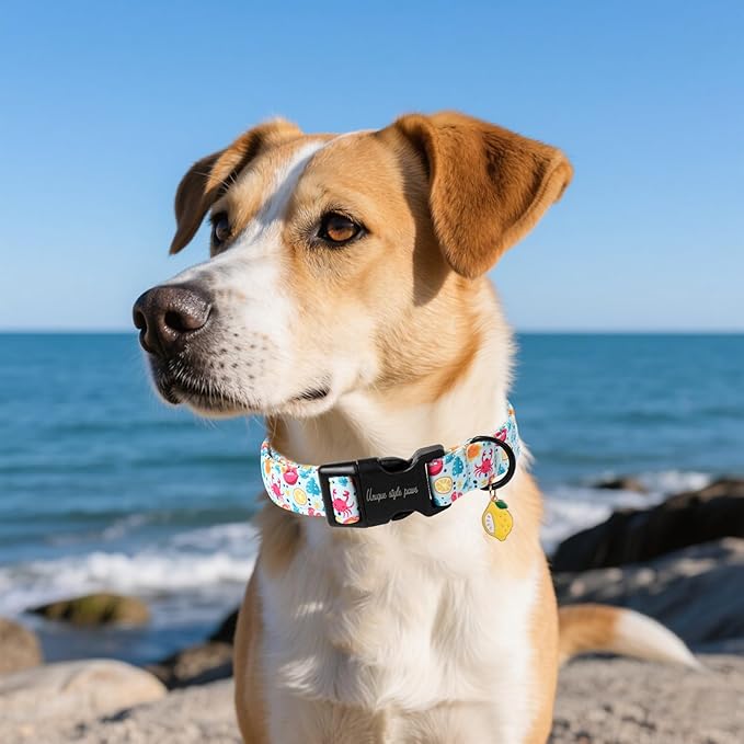 Unique style paws Dog Collar Plastic Buckle - Image 5