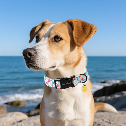 Unique style paws Dog Collar Plastic Buckle - Image 5