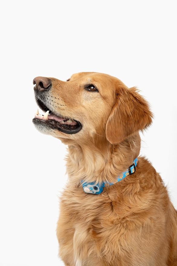 Genuine MS-5® Designer Series Automatic Pet Door Collar Tested & Certified by - Image 5