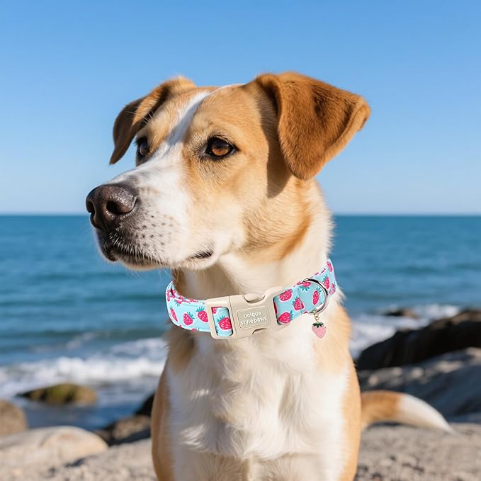 Unique style paws Dog Collar Plastic Buckle - Image 5