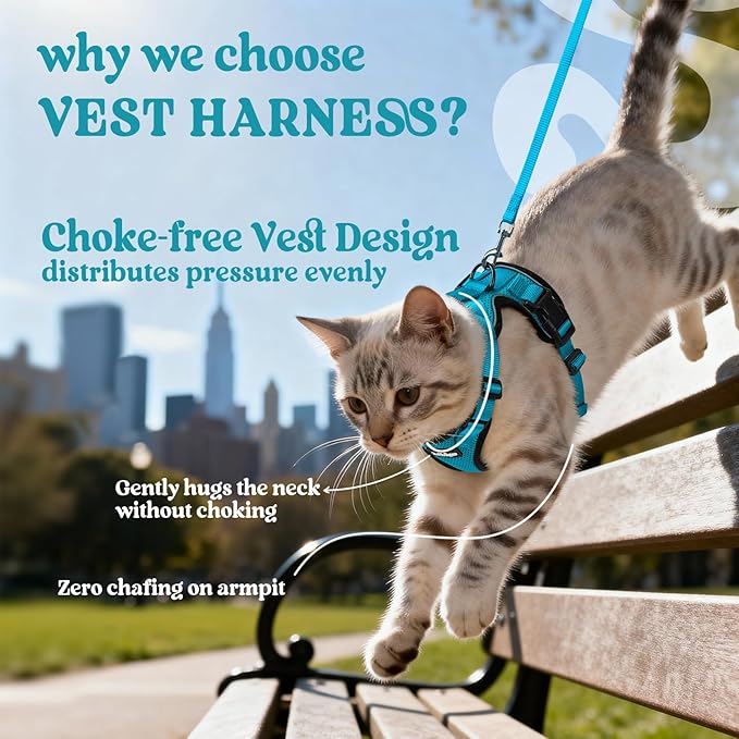 rabbitgoo Cat Harness and Leash Set, Escape Proof Kitten Harness - Image 3