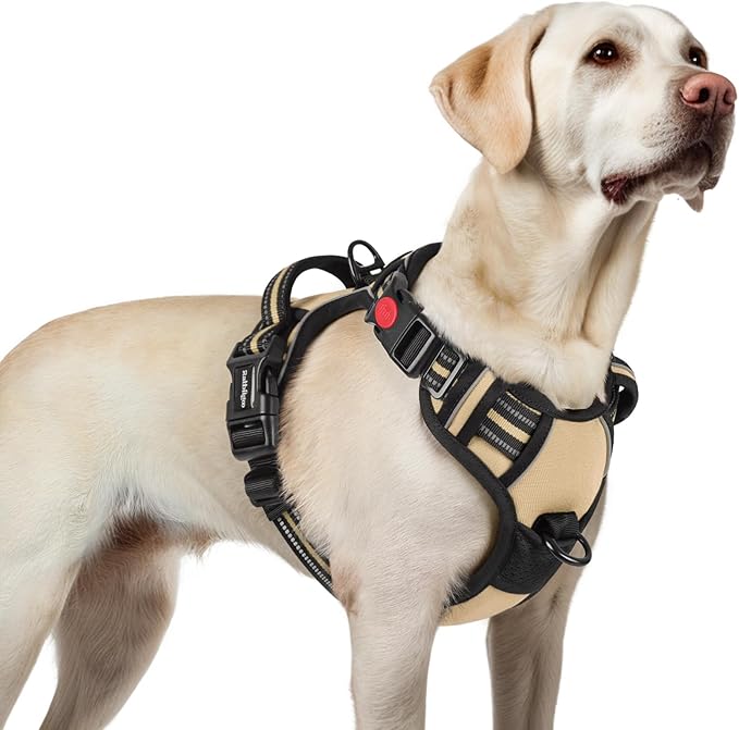 rabbitgoo Dog Harness for Large, No Pull Easy On & Off by rabbitgoo