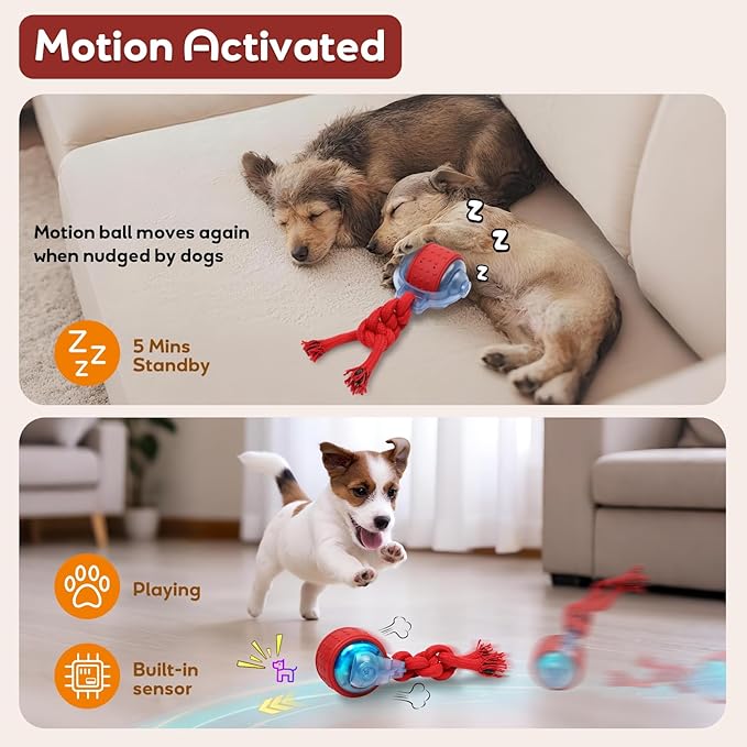 Dog Toys Interactive Dogs Squeaker - Image 4