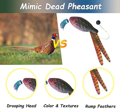 fingig 2 Pcs Pheasant Dummy Bumper Toy - Image 3