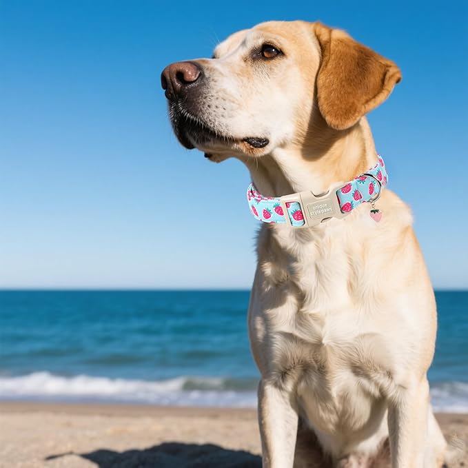 Unique style paws Dog Collar Plastic Buckle - Image 4