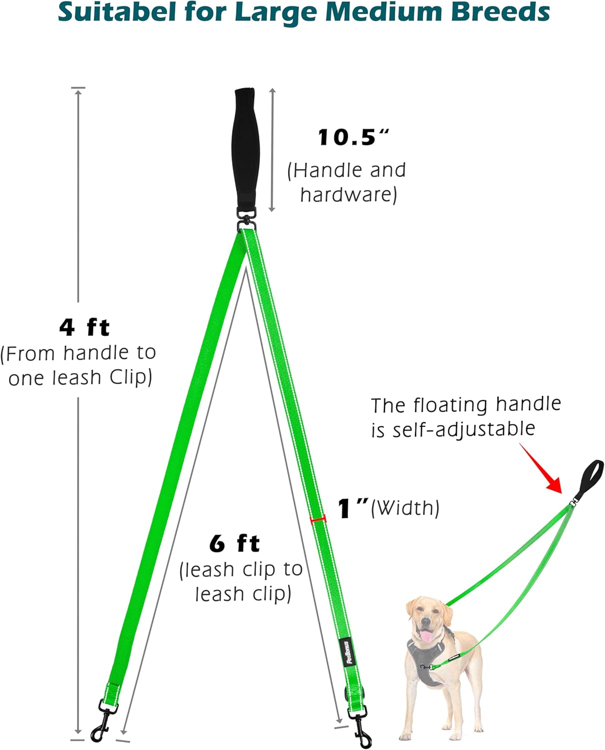 PetBonus Two Point Control Dog Leash, Works with No Pull Harnesses, No Tangle Training Leashes, Soft Padded and Reflective Walking Lead, Converts to Single Lead for Medium Large Dogs (Grass Green)