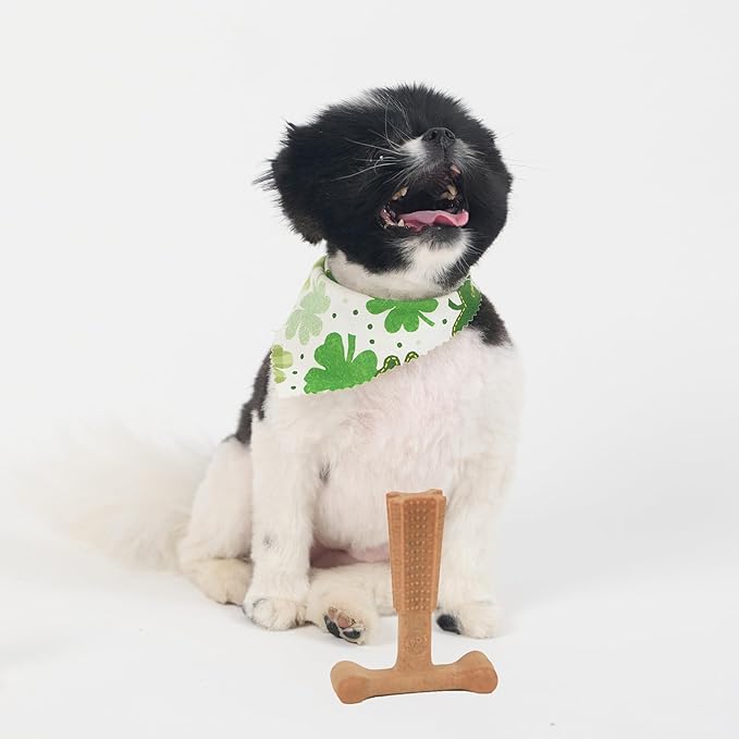 SPOT Bam-Bones Plus T-Bone, Bamboo Fiber & Nylon Dog Chew, Durable - Image 10