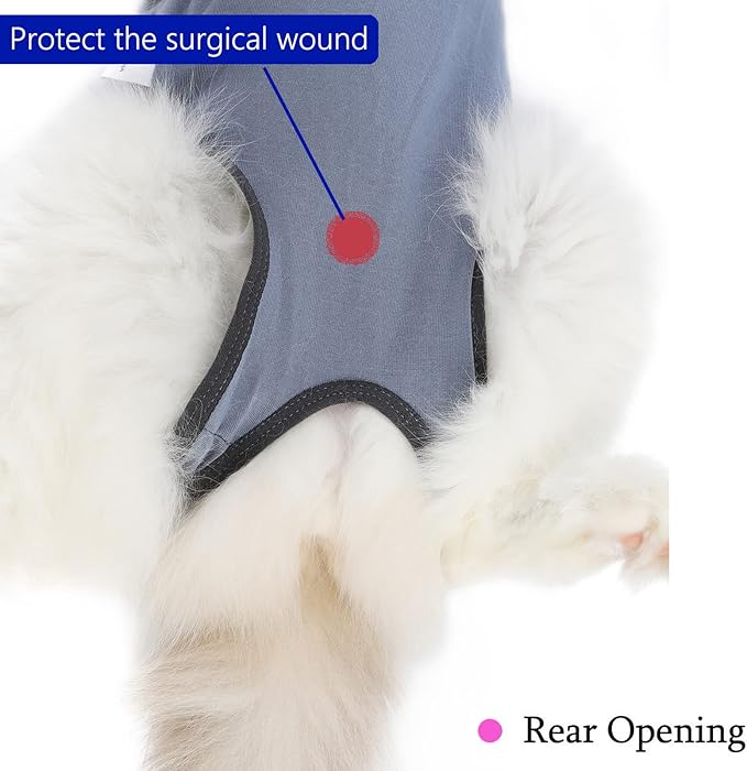 kzrfojy Cat Surgery Recovery Suit Cat Onesie - Image 4