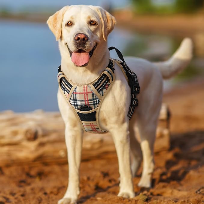 rabbitgoo Dog Harness No Pull - Image 8