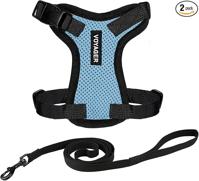 Voyager Escape-Proof Step-in Lock Cat Harness & 5ft Neoprene-Handle Leash Set by BestPetSuppliesLLC