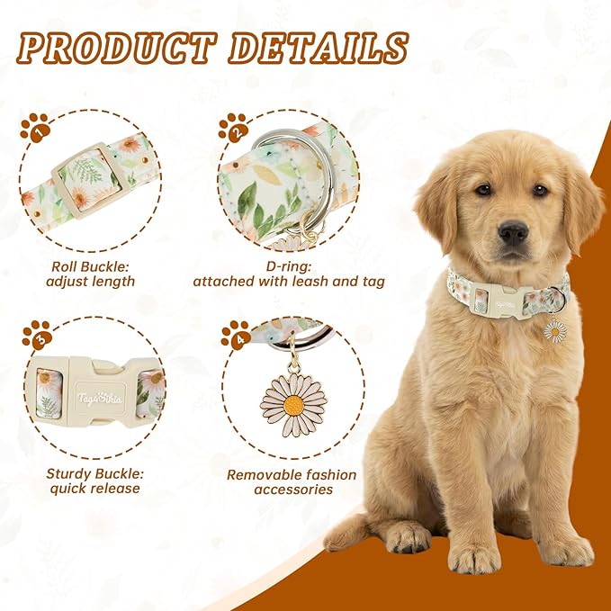 Floral Dog Collar, Spring Summer Cute Daisy Print - Image 2