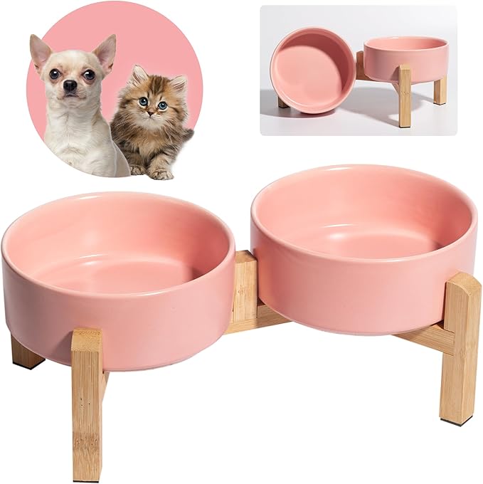Elevated Ceramic Dog Bowl Set by PTOBER