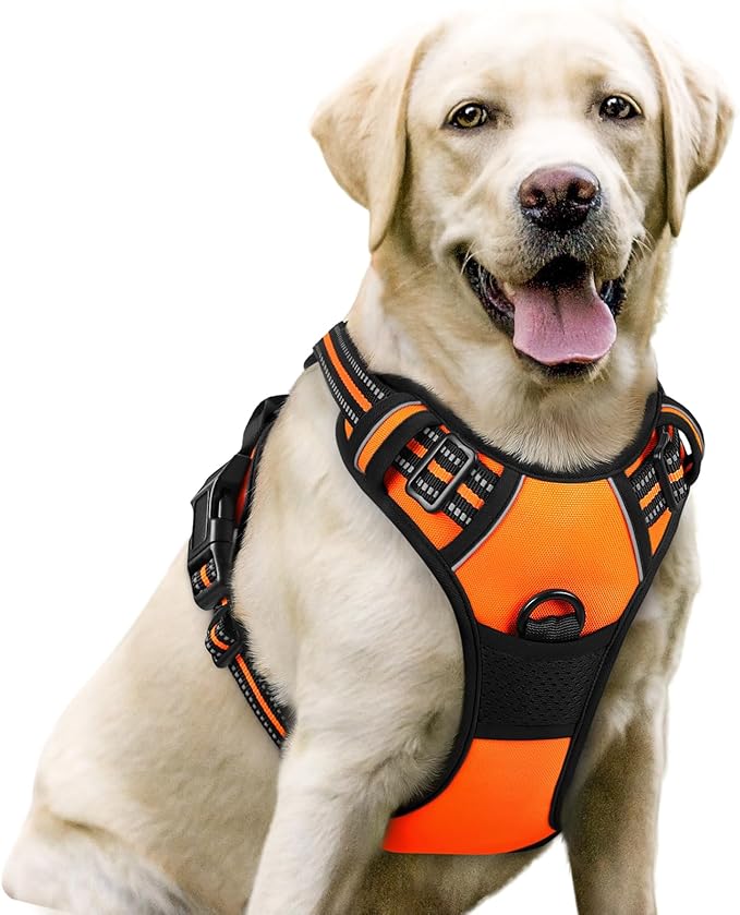 rabbitgoo Dog Harness No Pull by rabbitgoo