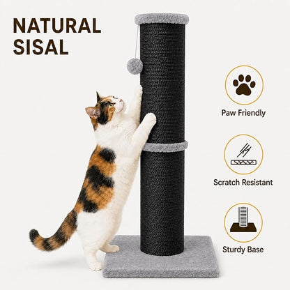 PAWSCRAT Cat Scratching Post 32 Inch High, 5.5 Inch Large Diameter Natural - Image 3