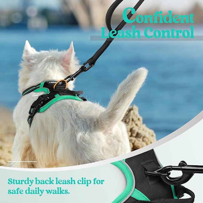 rabbitgoo Dog Harness No Pull - Image 6