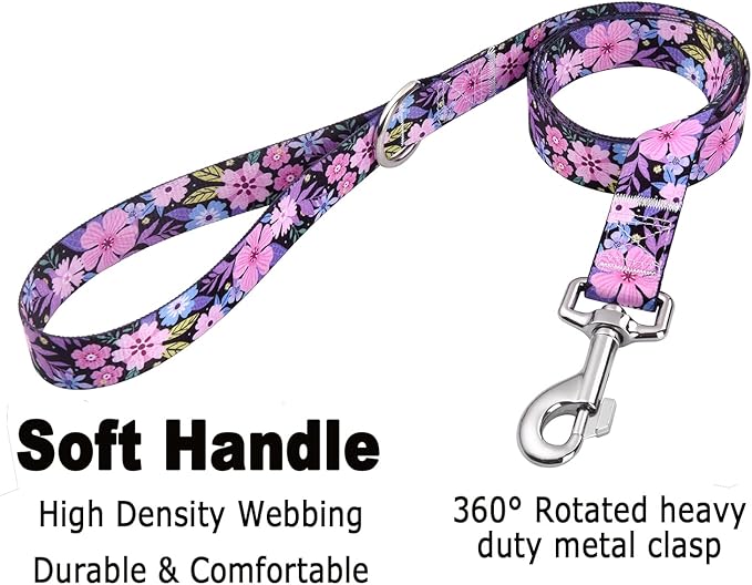 Mihqy Dog Collar and Leash Set - Image 4