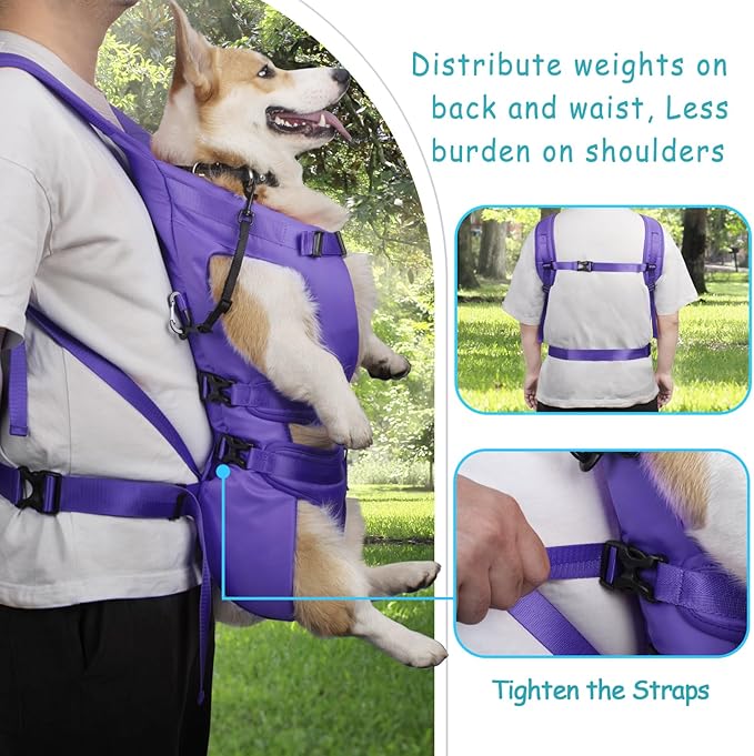 PetBonus Pet Front Dog Carrier Backpacks, Adjustable Pet Backpack, Legs Out - Image 3