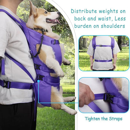 PetBonus Pet Front Dog Carrier Backpacks, Adjustable Pet Backpack, Legs Out - Image 3