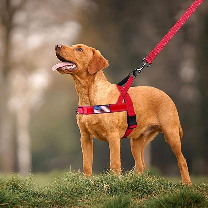 Annchwool No Pull Dog Harness - Image 6