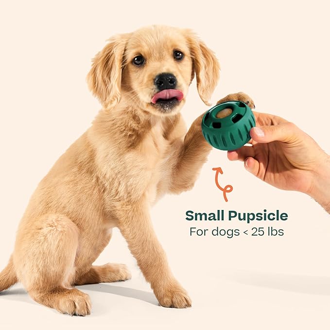 WOOF Pupsicle - Long-Lasting Interactive Dog Ball Toy to Keep Your Pup Busy and - Image 9
