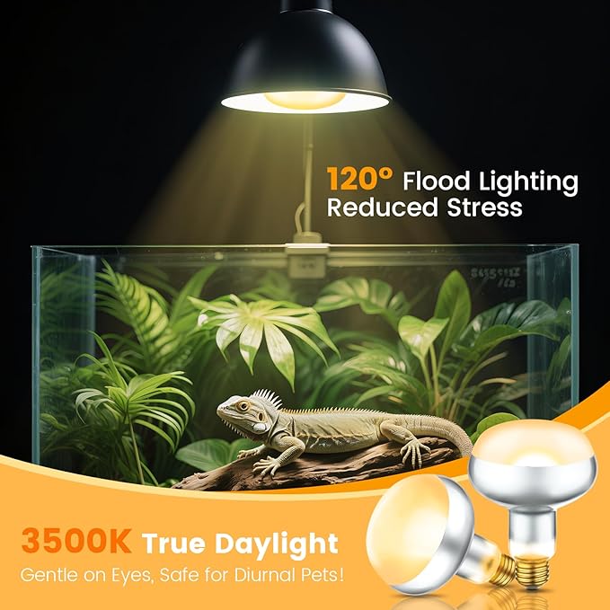 REPTITRIP Dual Reptile Light Fixture - Image 4