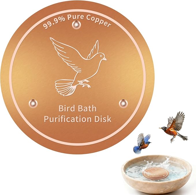 Bird Bath Copper Discs by Unknown