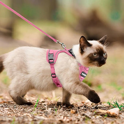 Cat Harness and Leash for Walking, The Upgrade Can be Adjusted in Four - Image 6