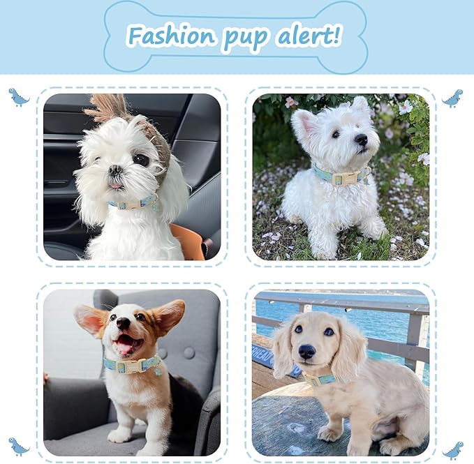 Dinosaur Dog Collar for Extra Small Dogs, Cute Puppy Collars - Image 5