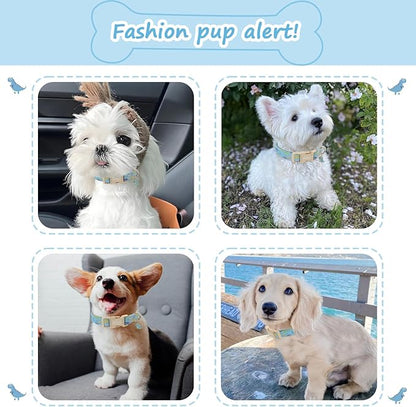 Dinosaur Dog Collar for Extra Small Dogs, Cute Puppy Collars - Image 5
