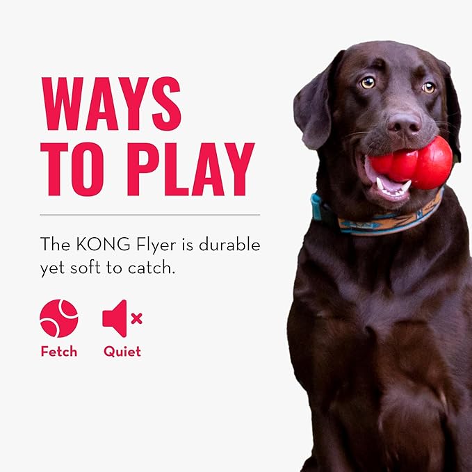 KONG Flyer - Durable Dog Toy for Outdoor Playtime - Natural Rubber Flying Disc - Image 5