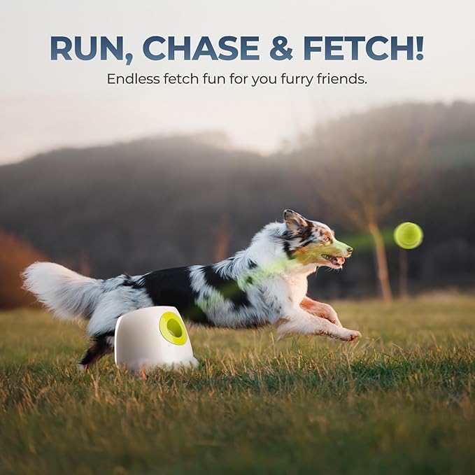 ALL FOR PAWS Automatic Dog Ball Launcher, Interactive Fetch Toy for Medium to - Image 9