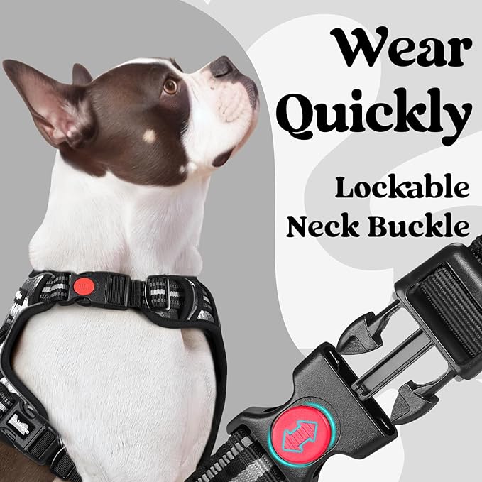 rabbitgoo Dog Harness Small Sized, No Pull Easy On & Off - Image 3