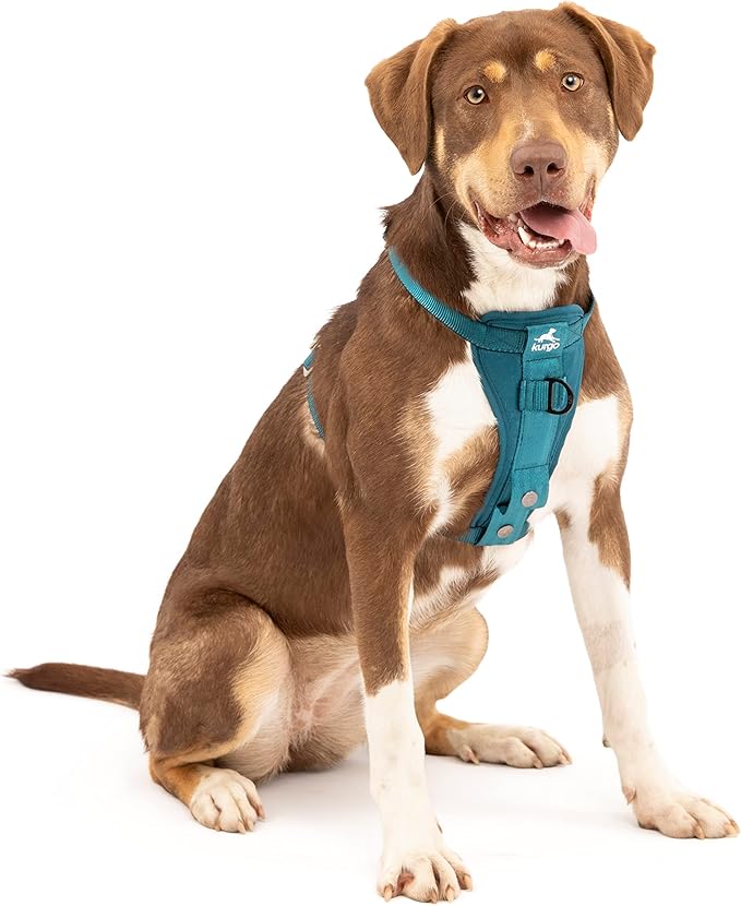 Kurgo Enhanced Strength Tru-Fit Dog Car Harness by Kurgo