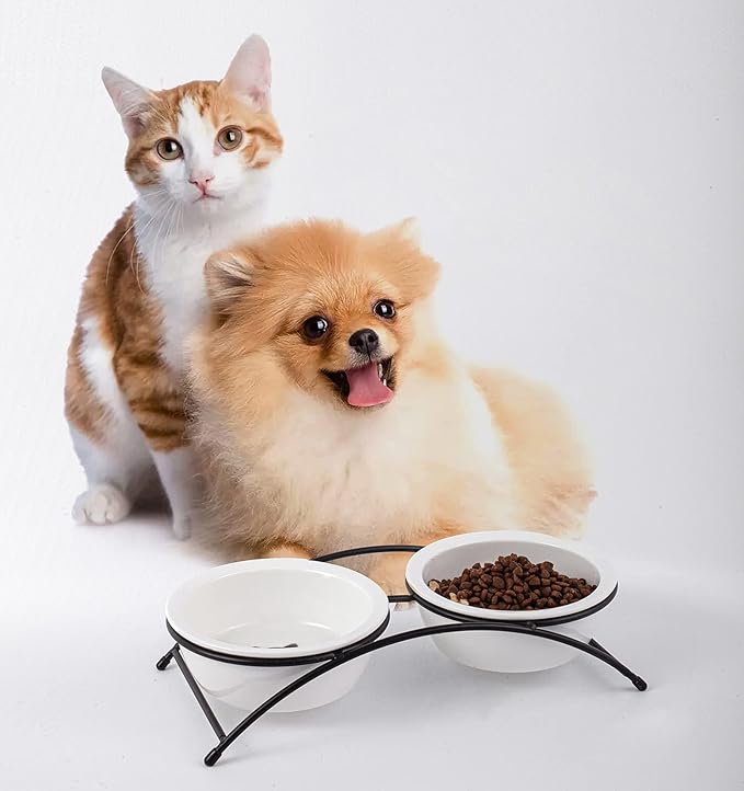 Cat & Dog Bowls - Image 6