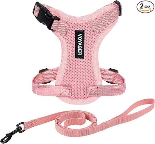 Voyager Escape-Proof Step-in Lock Cat Harness & 5ft Neoprene-Handle Leash Set by BestPetSuppliesLLC