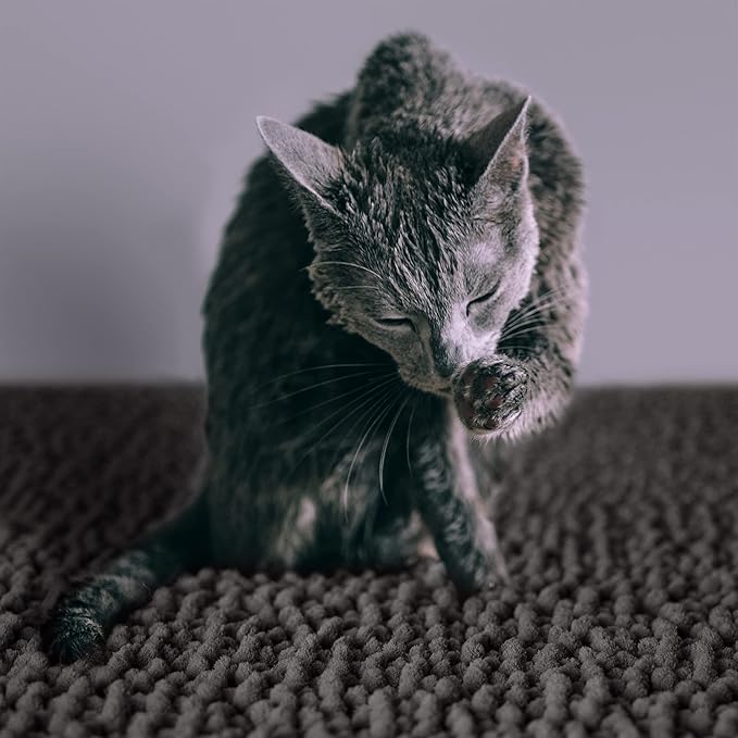 CatGuru Cat Litter Mat, Extra Large, Waterproof Litter Box Mat, Non Slip Kitty - Image 5