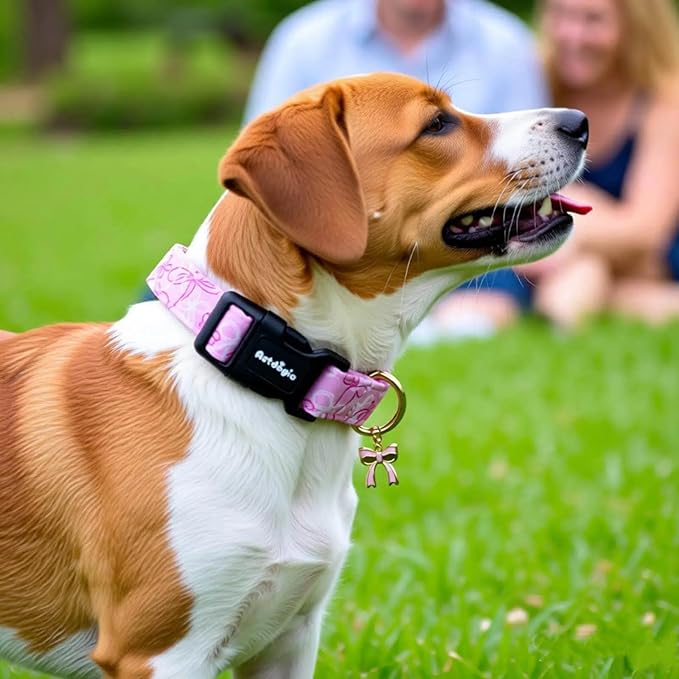 Medium Dog Collar, Girl Boy Dog Collars - Image 5