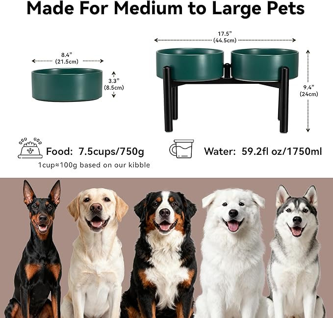 Dog Bowls Elevated - Image 2