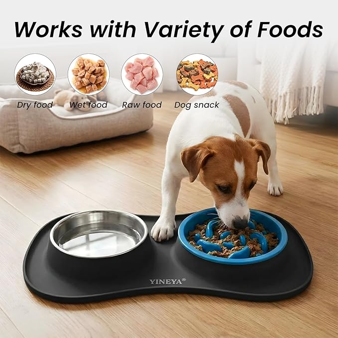 YINEYA 3 in 1 Slow Feeder Dog Bowls & Stainless Steel Food and Water Bowl - Image 6