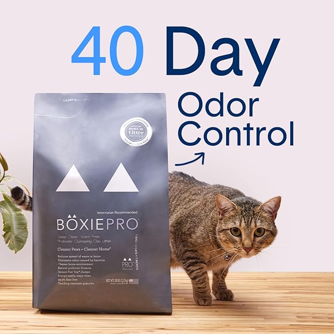 Boxie® Probiotic 40 Day Natural Odor Control Cat Litter, 16lb Clumping Clay - Image 3
