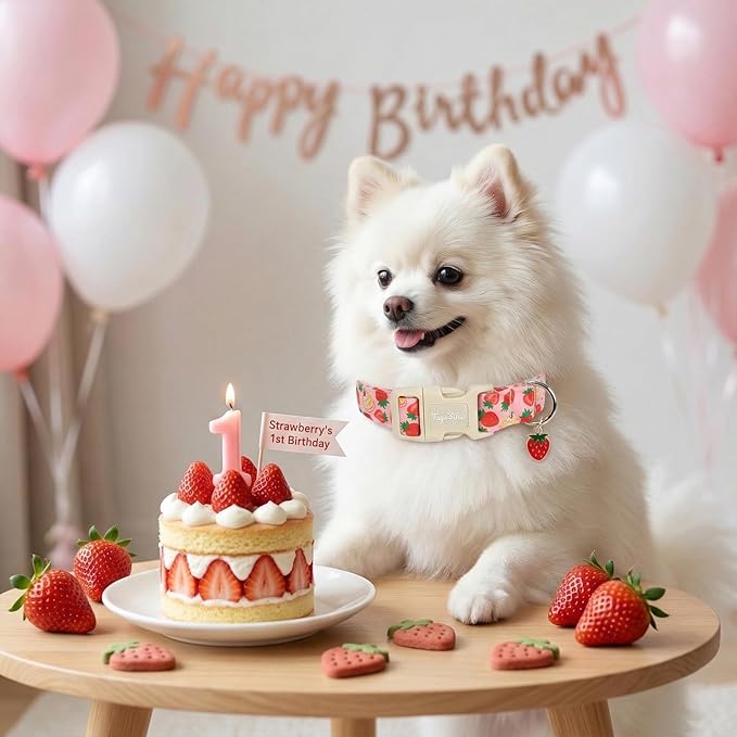 Dog Collar with Strawberry Patterns, Spring Summer Collection Pink Dog Collar - Image 7