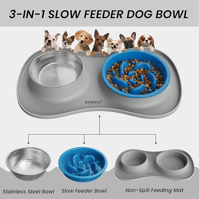 YINEYA 3 in 1 Slow Feeder Dog Bowls & Stainless Steel Food and Water Bowl - Image 2