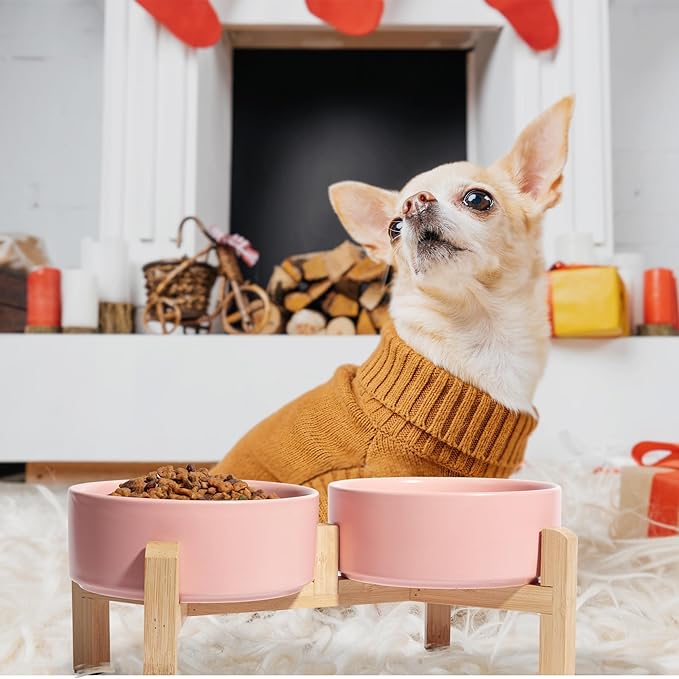 Elevated Ceramic Dog Bowl Set - Image 6
