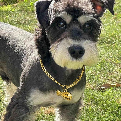 Dogs ID Tags Personalized Double Sided Deep Engraved Cat & Dog Collar Charm - Image 2
