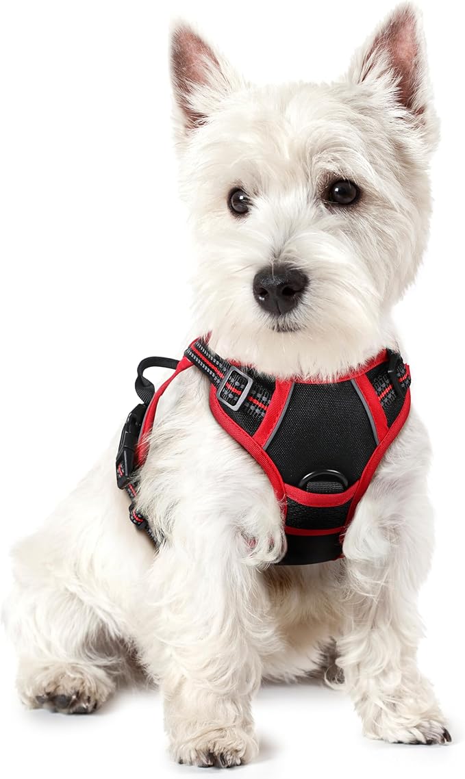 rabbitgoo Dog Harness No Pull by rabbitgoo