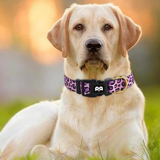 QQPETS Adjustable Soft Dog Collar: Print Flower Pink Multicolor Cute Patterns - Image 7