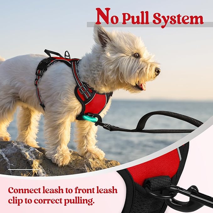 rabbitgoo Dog Harness No Pull - Image 5