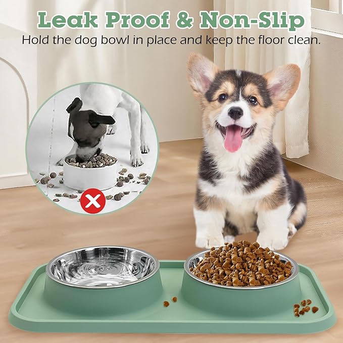 BNOSDM 2 Pcs Double Dog Food Bowls, Stainless Steel Small Dog Food and Water - Image 3